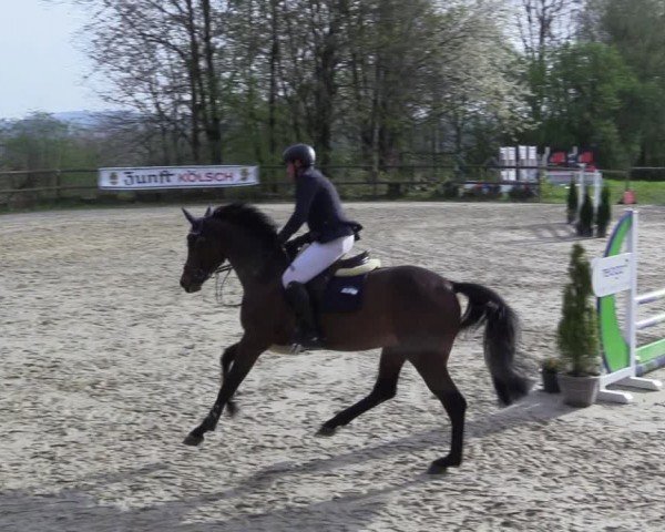 Reitturnier Marienheide-Kempershöhe 2024