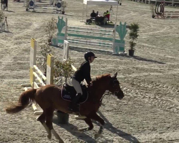 Reitturnier St. Margarethen 2024