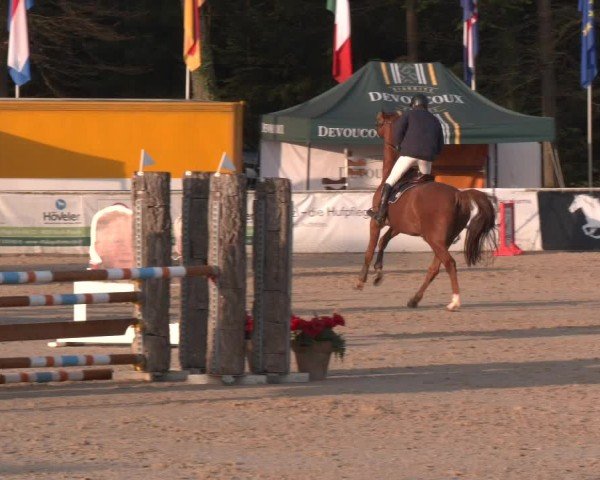 Reitturnier Ranshofen - Braunau am Inn 2024