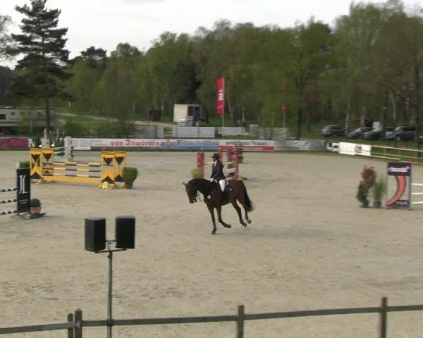 Reitturnier Westergellersen 2024