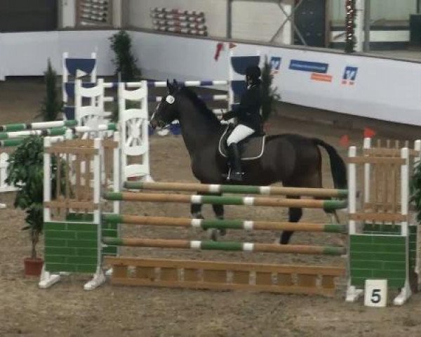 19. Winter Hallen Reit- und Springturnier 2011
