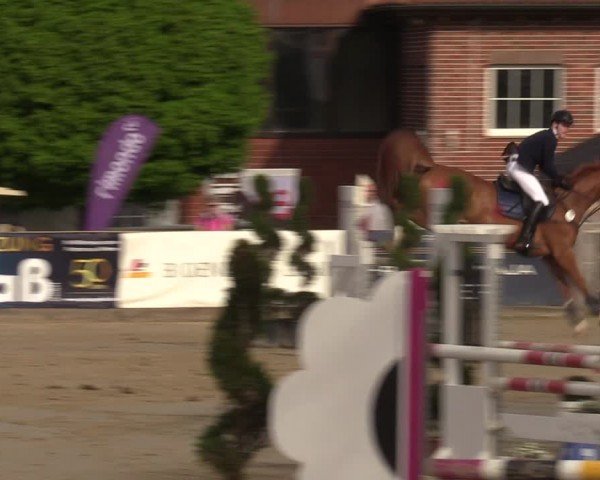 Reitturnier Werne-Lenklar 2024