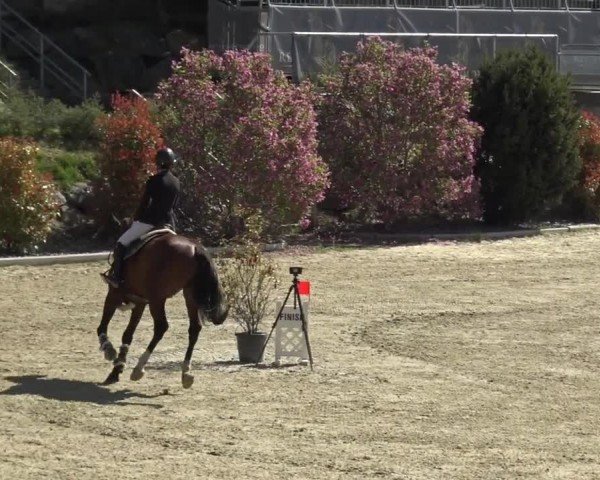Reitturnier St. Margarethen 2024