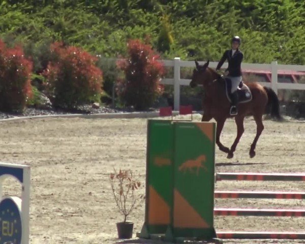 Reitturnier St. Margarethen 2024