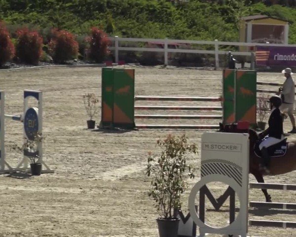 Reitturnier St. Margarethen 2024