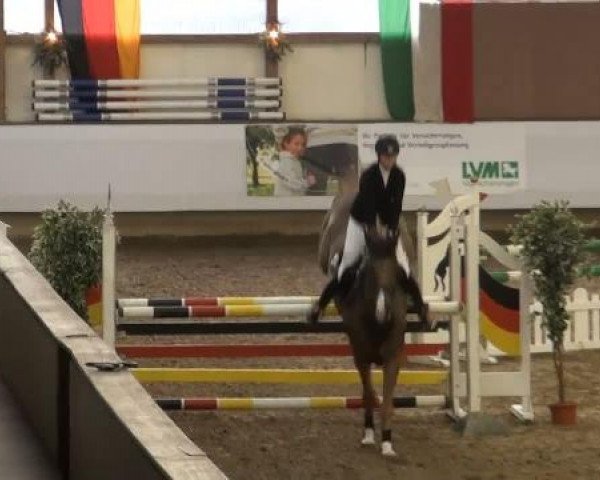 19. Winter Hallen Reit- und Springturnier 2011