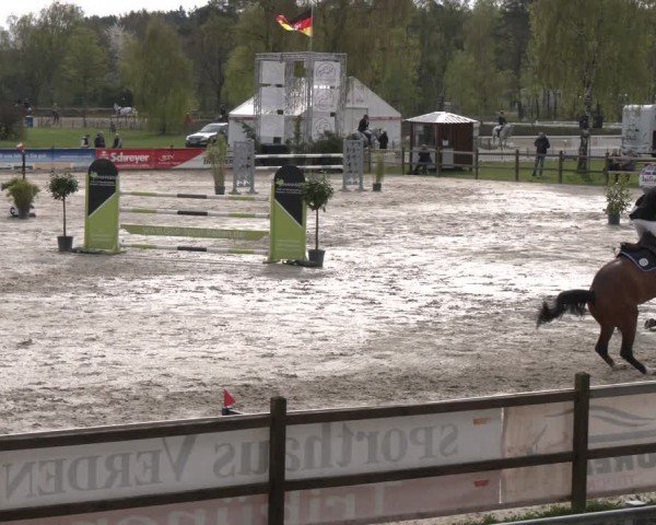 Reitturnier Westergellersen 2024