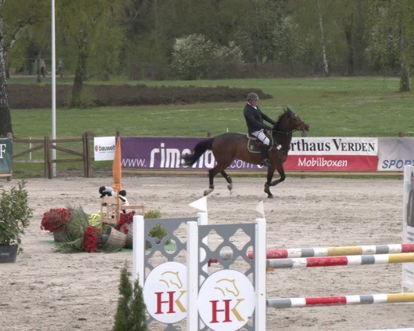 Reitturnier Westergellersen 2024