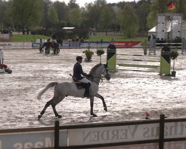 Reitturnier Westergellersen 2024