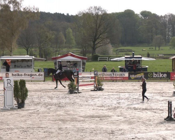 Reitturnier Westergellersen 2024