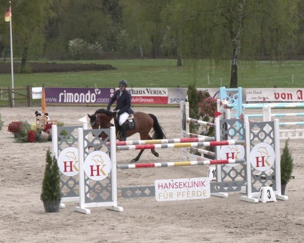 Reitturnier Westergellersen 2024