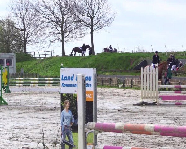 Reitturnier Breiholz "Am Moltkestein" 2024