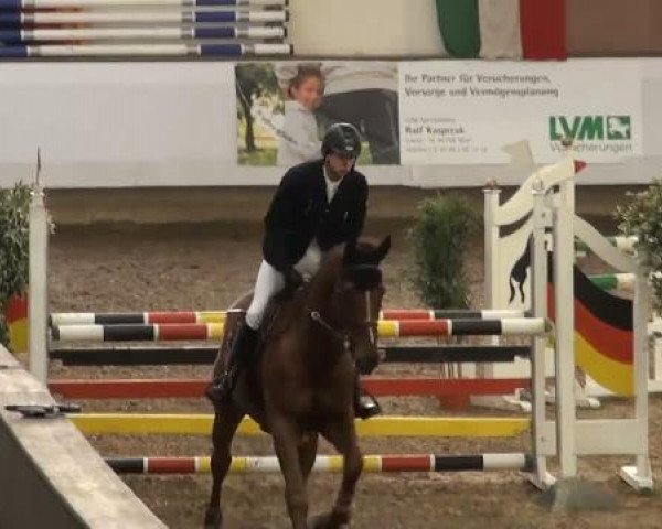 19. Winter Hallen Reit- und Springturnier 2011