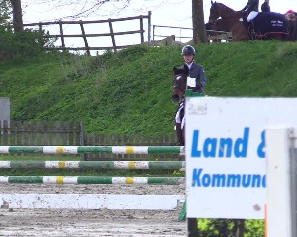 Reitturnier Breiholz "Am Moltkestein" 2024