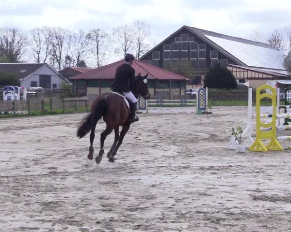 Reitturnier Breiholz "Am Moltkestein" 2024