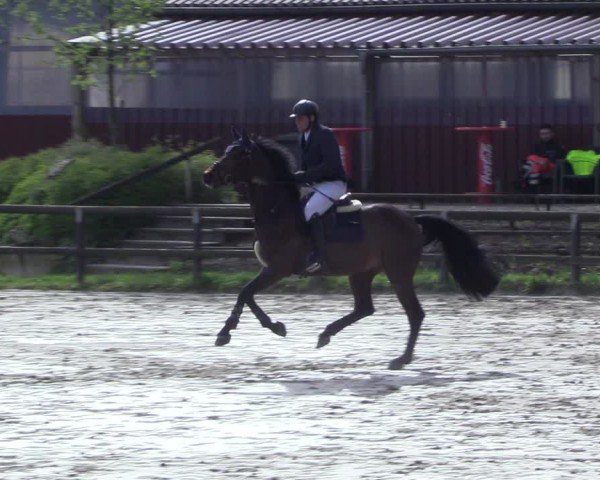 Reitturnier Marienheide-Kempershöhe 2024