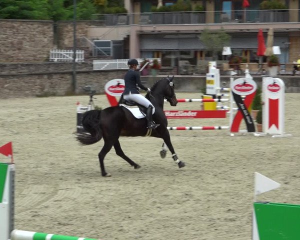Erntedank Springturnier Nörten-Hardenberg 2021