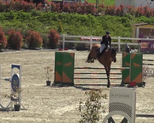 Reitturnier St. Margarethen 2024