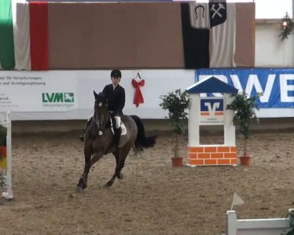19. Winter Hallen Reit- und Springturnier 2011