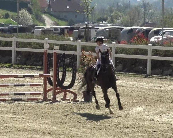 Reitturnier St. Margarethen 2024