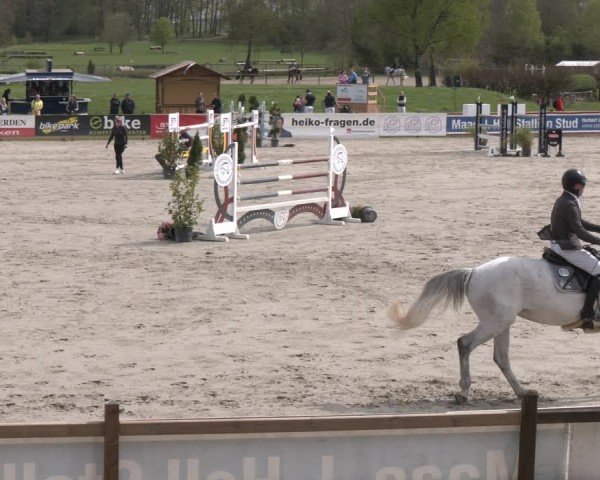 Reitturnier Westergellersen 2024