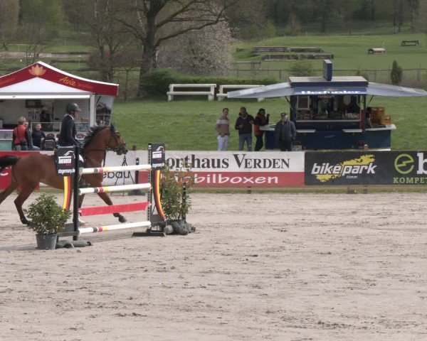 Reitturnier Westergellersen 2024