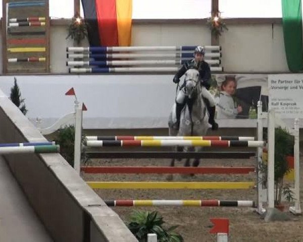 19. Winter Hallen Reit- und Springturnier 2011