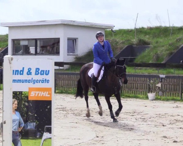 Reitturnier Breiholz "Am Moltkestein" 2024