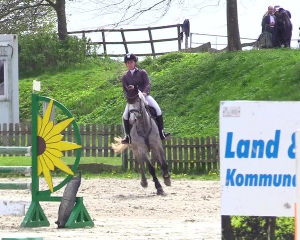 Reitturnier Breiholz "Am Moltkestein" 2024