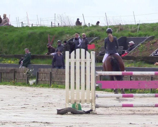 Reitturnier Breiholz "Am Moltkestein" 2024