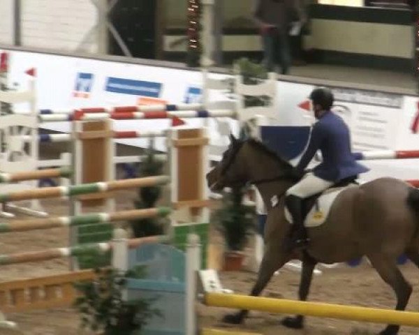 19. Winter Hallen Reit- und Springturnier 2011