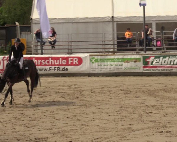 Lenklarer Reitertage Werne 2024