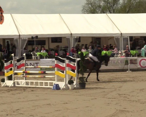 Lenklarer Reitertage Werne 2024
