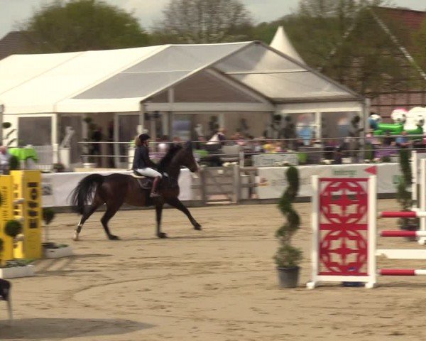 Lenklarer Reitertage Werne 2024