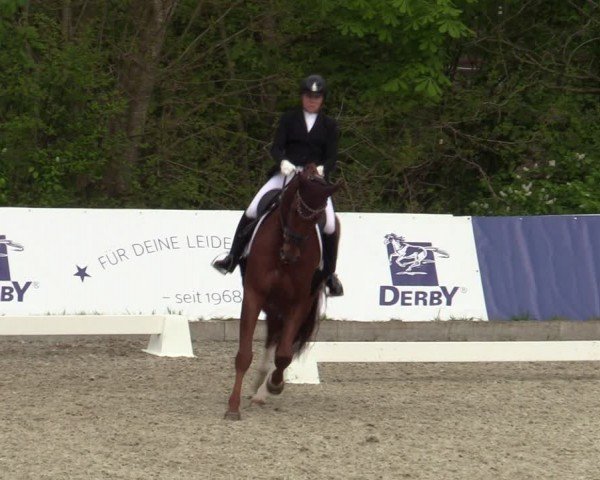 Reitturnier Elmlohe 2024