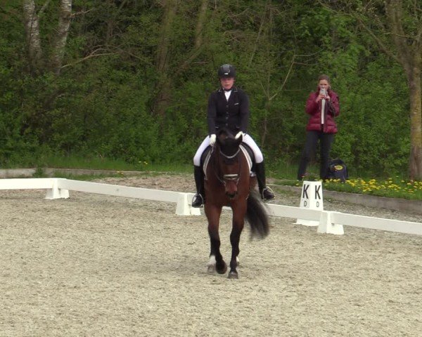 Reitturnier Elmlohe 2024
