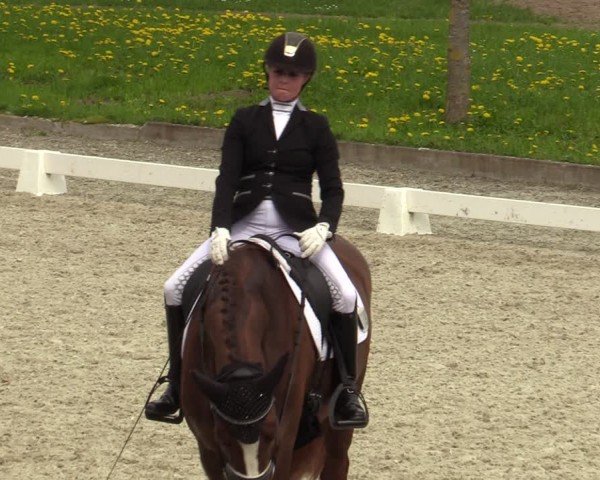 Reitturnier Elmlohe 2024