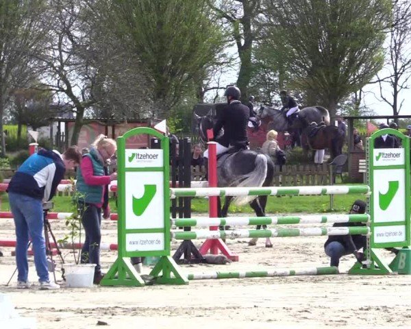 Reitturnier Breiholz "Am Moltkestein" 2024