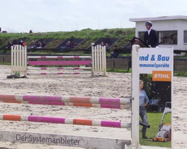 Reitturnier Breiholz "Am Moltkestein" 2024