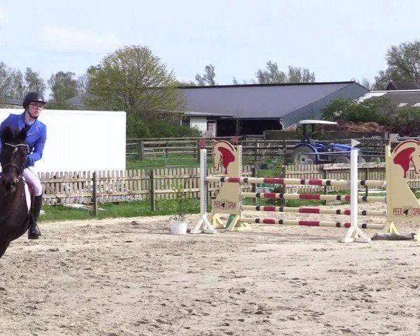 Reitturnier Breiholz "Am Moltkestein" 2024