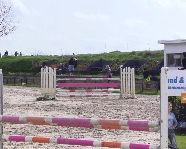 Reitturnier Breiholz "Am Moltkestein" 2024