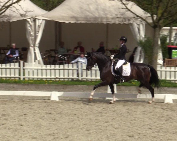 Reitturnier Elmlohe 2024
