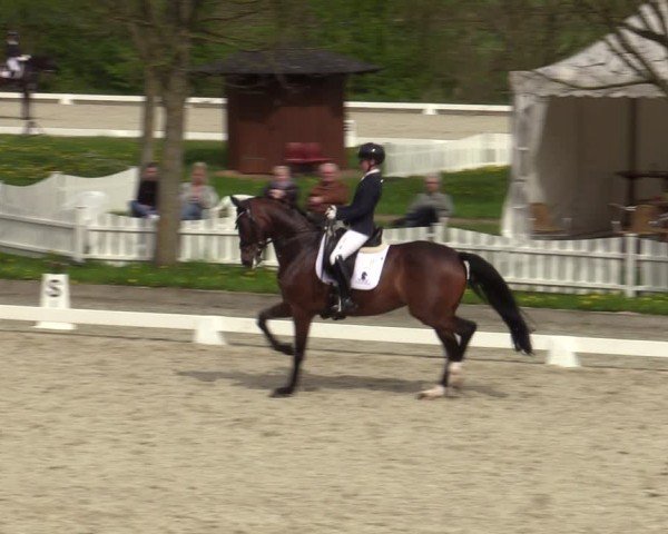 Reitturnier Elmlohe 2024