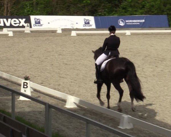 Reitturnier Elmlohe 2024