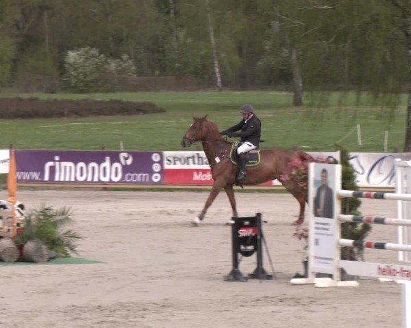 Reitturnier Westergellersen 2024