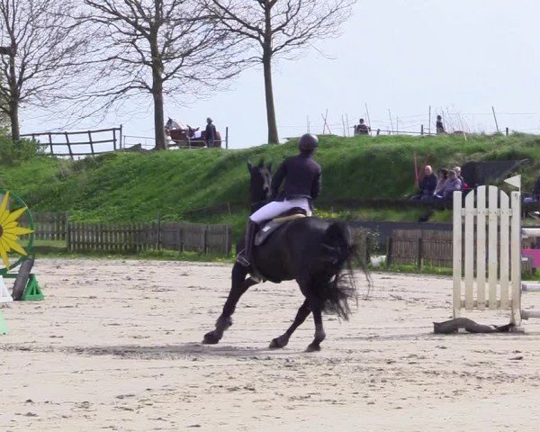 Reitturnier Breiholz "Am Moltkestein" 2024