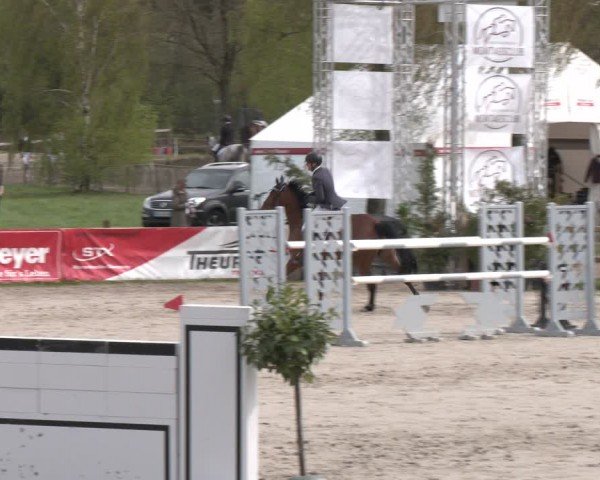 Reitturnier Westergellersen 2024