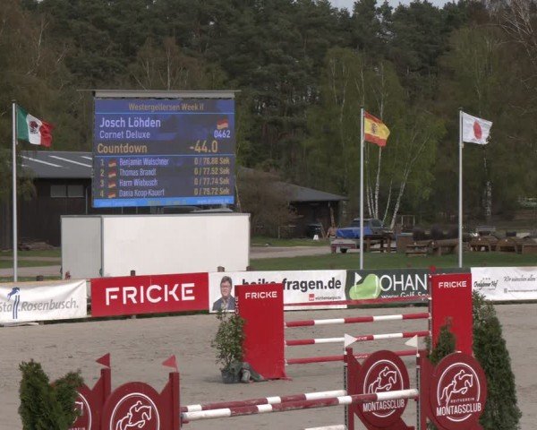 Reitturnier Westergellersen 2024