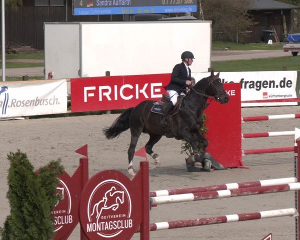 Reitturnier Westergellersen 2024