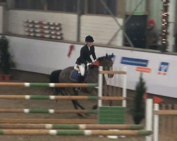 19. Winter Hallen Reit- und Springturnier 2011